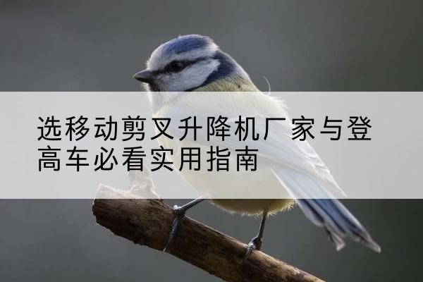维西电动升降机厂家-选移动剪叉升降机厂家与登高车必看实用指南