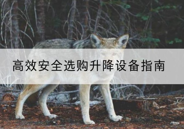 维西升降货梯厂家推荐-*安全选购升降设备指南