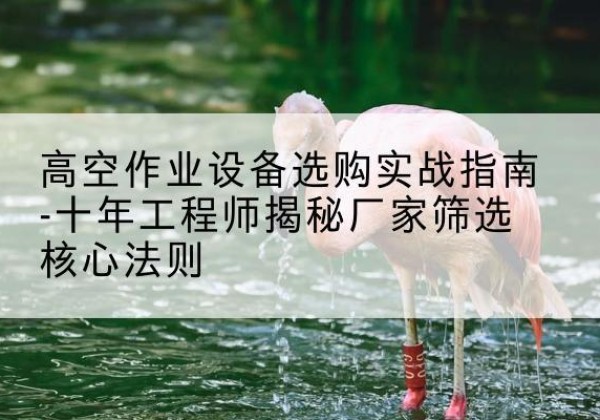 维西剪叉式升降机厂家-高空作业设备选购实战指南-十年工程师揭秘厂家筛选核心法则